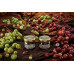Табак для кальяна WTO Nicaragua - Gooseberry (Крыжовник) 20г