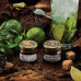 Табак для кальяна WTO Nicaragua - Mojito (Мохито) 20г.