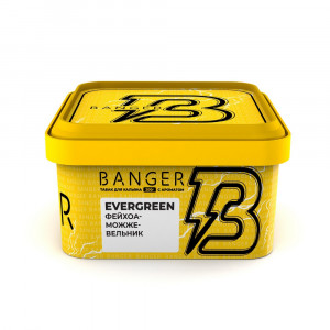 Табак для кальяна Banger - Evergreen (Фейхоа Можжевельник) 200г